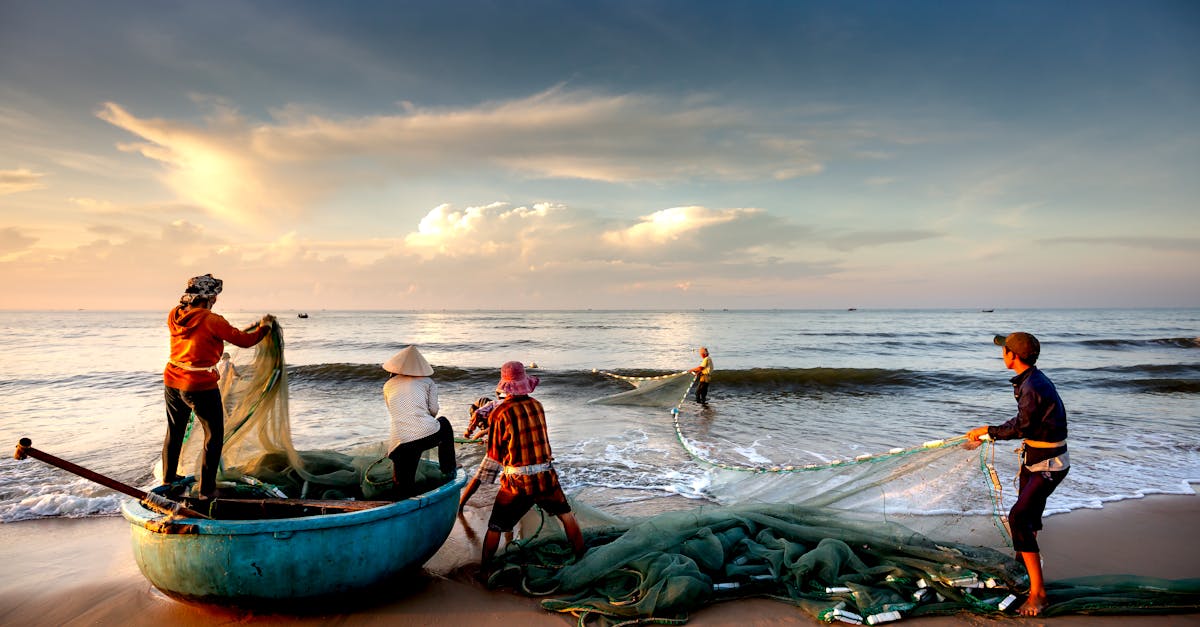 découvrez les enjeux et les solutions pour une durabilité maritime, alliant protection des écosystèmes marins et développement économique. explorez les bonnes pratiques, l'innovation et les initiatives visant à préserver nos océans pour les générations futures.