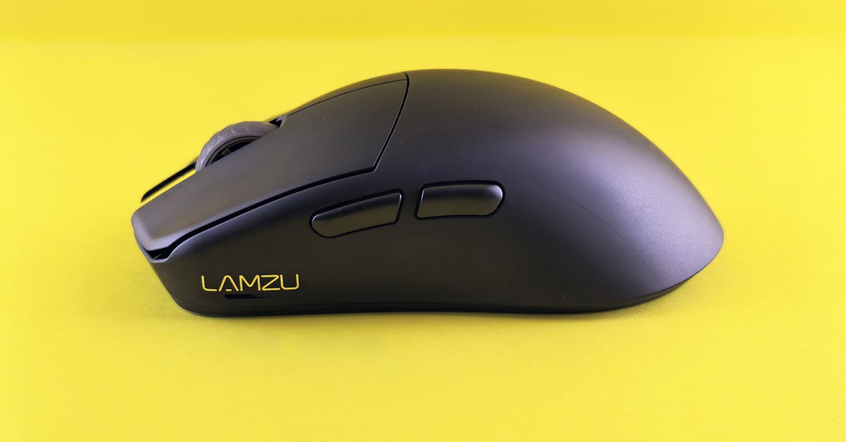 découvrez tout sur les rongeurs fascinants avec notre guide complet sur les souris. apprenez à les reconnaître, leur habitat, leur comportement et comment en prendre soin. que vous soyez un passionné de la faune ou à la recherche d'informations pratiques, plongez dans le monde captivant des souris.