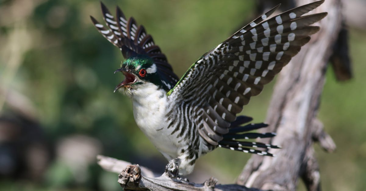 découvrez notre appel à candidatures : rejoignez-nous pour saisir de nouvelles opportunités, valoriser vos compétences et participer à un projet innovant. candidatures ouvertes à tous les profils.